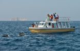 إقبال متزايد على السياحة البحرية في سلطنة عمان