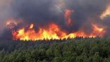 فرق الإطفاء في فرنسا تكافح للسيطرة على حريق غابات قرب سان تروبيه