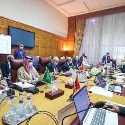 جامعة الدول العربية تدعم ملف دولة الإمارات لاستضافة قمة المناخ