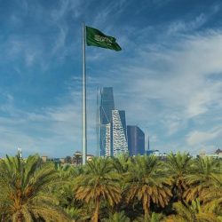 السعودية تواصل استكمال مسيرة الإصلاحات الاقتصادية والمالية