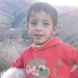 شيراتون مول الإمارات يقدم لضيوفه مجموعة من الباقات المميزة بمناسبة عيد الحب  أجواء رومانسية ساحرة وتجارب شاعرية لا تضاهى