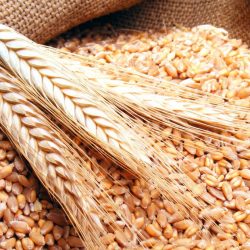 فلسطين.. آمال كبيرة باستعادة التأييد الأوروبي