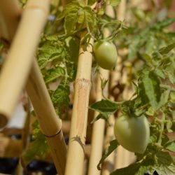 الأمير خالد بن سلمان: السعودية حريصة على استقرار اليمن