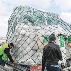 ويز إير أبوظبي تسير رحلات إلى المدينة المنورة بأسعار تبدأ من 219 درهماً