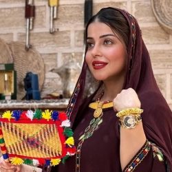 كروز السعودية منظومة متكاملة للرحلات البحرية