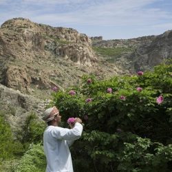 احتفلوا بعيد الفطر السعيد في رفاهية راقية في فندق سانت ريجيس دبي، النخلة