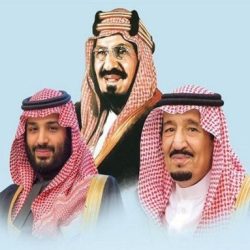 تحت رعاية منصور بن زايد :  بطولة زايد الرياضية في نسختها الـ29 تنطلق السبت  إرث راسخ يجدد مسيرة التميز والوحدة