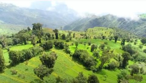 Top 7 Must-Visit Tourist Destinations in Ethiopia