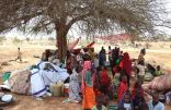 أكثر من 700 ألف نازح داخل السودان منذ اندلاع الأزمة