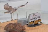محطات مركز حمدان احتفاء بالخمسين في معرض ابوظبي للصيد والفروسية